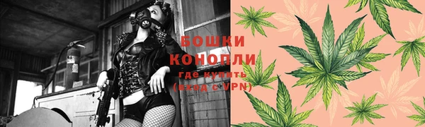 альфа пвп Медвежьегорск
