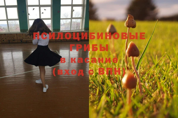 гашишное масло Медногорск