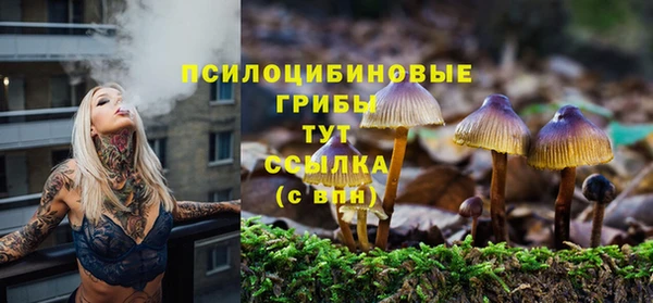 альфа пвп Медвежьегорск