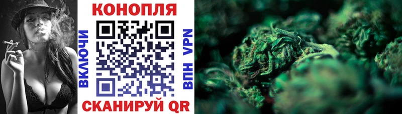 Каннабис планчик  Купить закладки  Амурск 